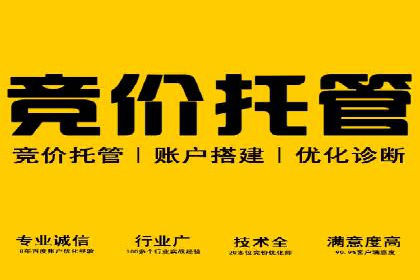 SEM服务公司助力品牌崛起案例